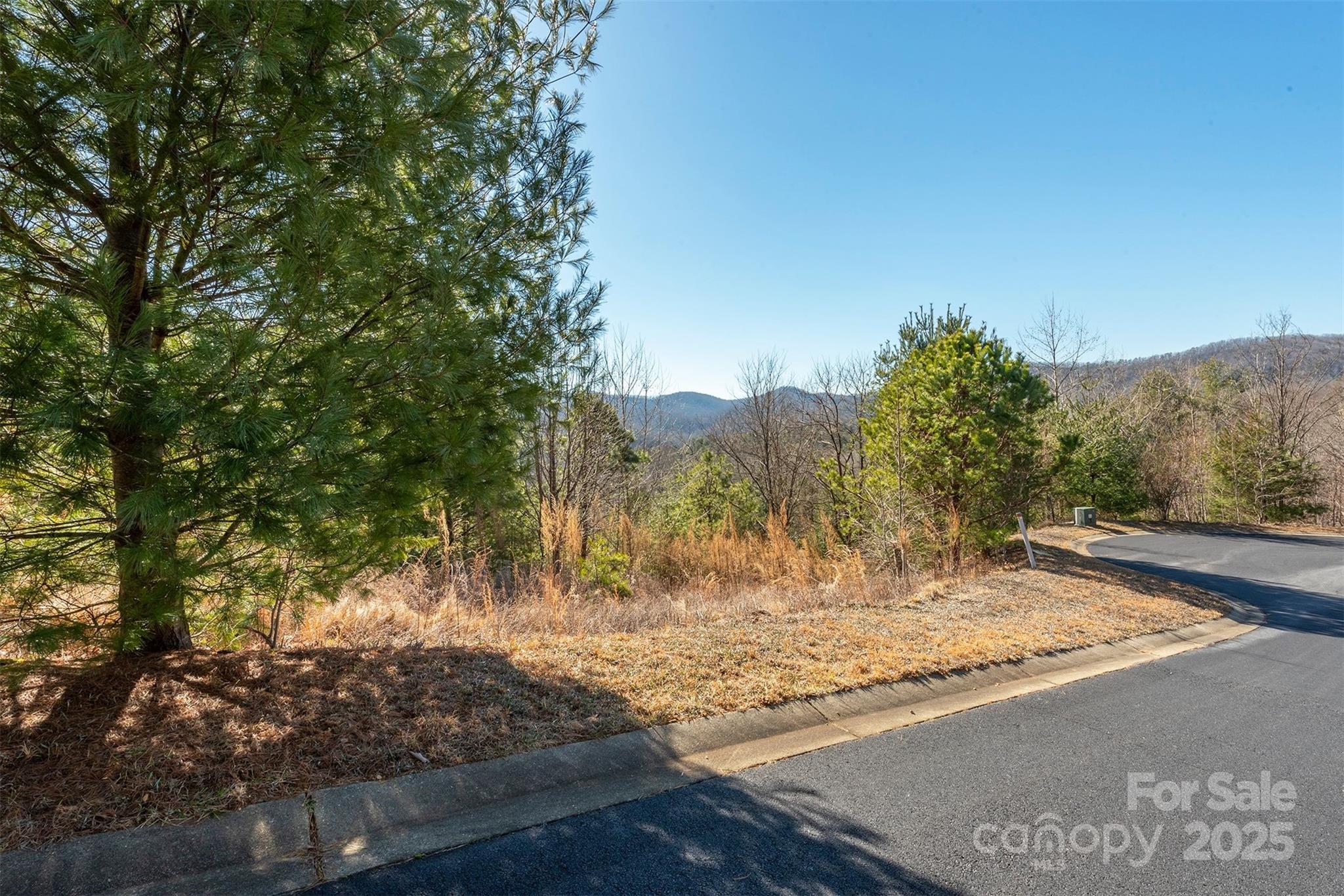 99999 Woodhen Way, Horse Shoe, NC 28742