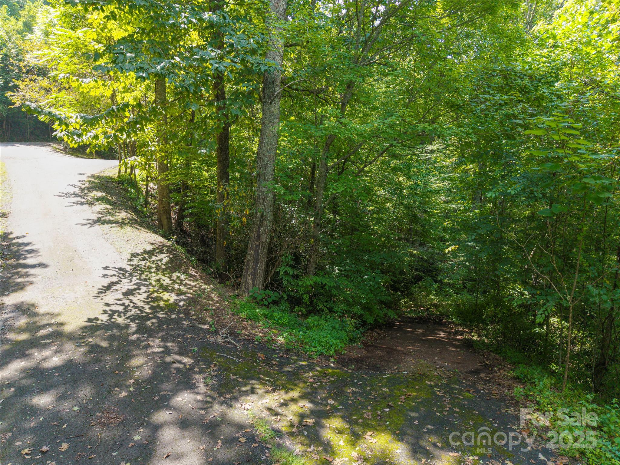 LOT 60 Chesten Mountain Drive, Asheville, NC 28803