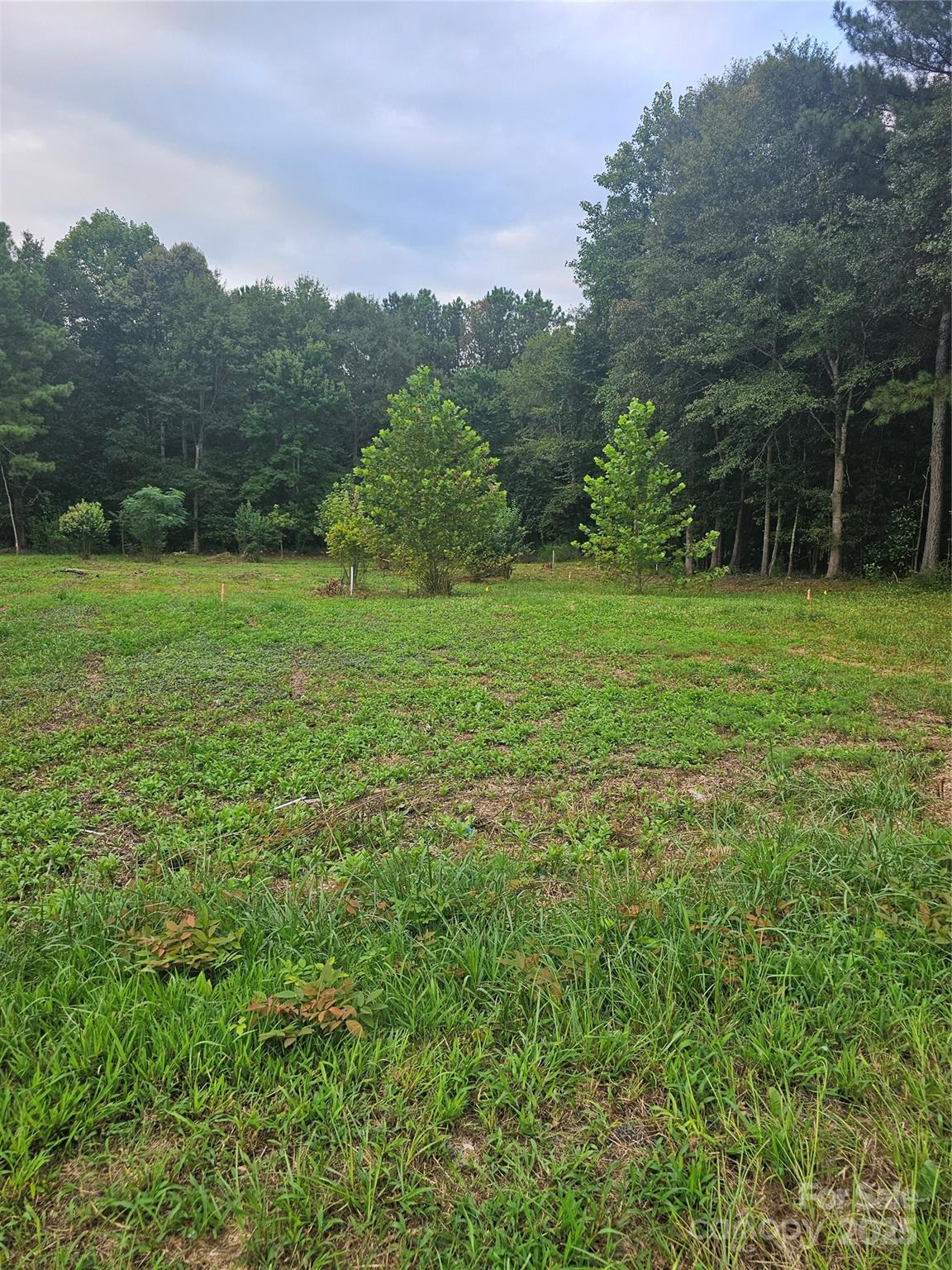 109 Falls Street, Lawndale, NC 28090