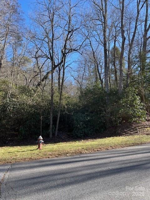 M12R Elk Mountain Trail, Brevard, NC 28712