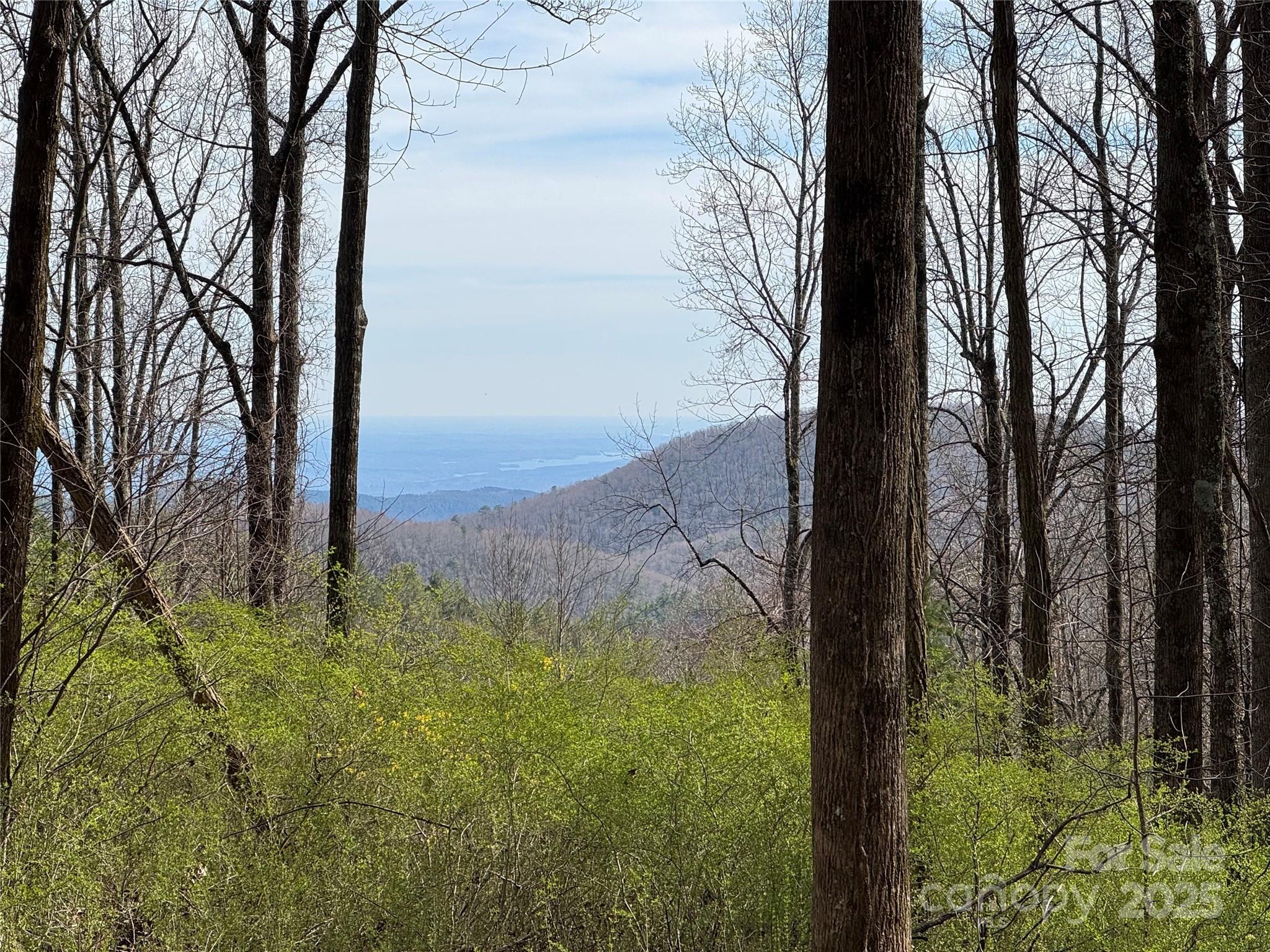 L8 Black Bear Court, Sapphire, NC 28774