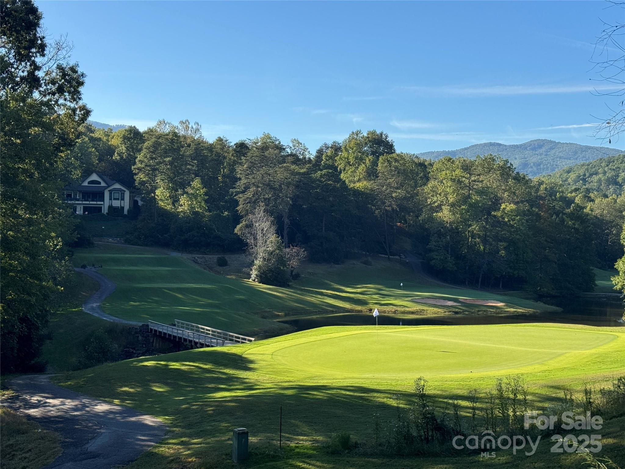156 Sheepnose Drive, Lake Lure, NC 28746