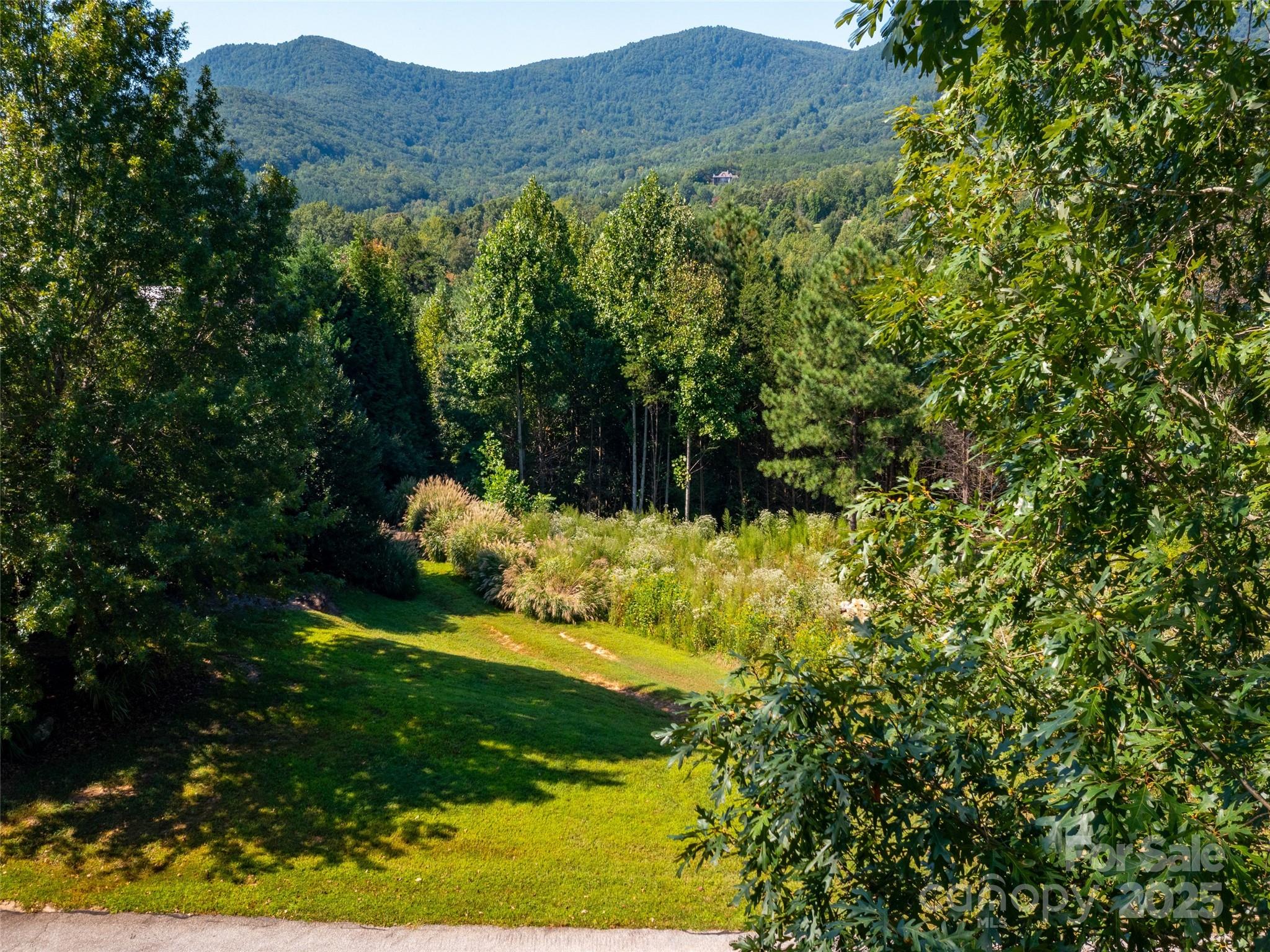 00 Chestertown Drive, Mill Spring, NC 28756