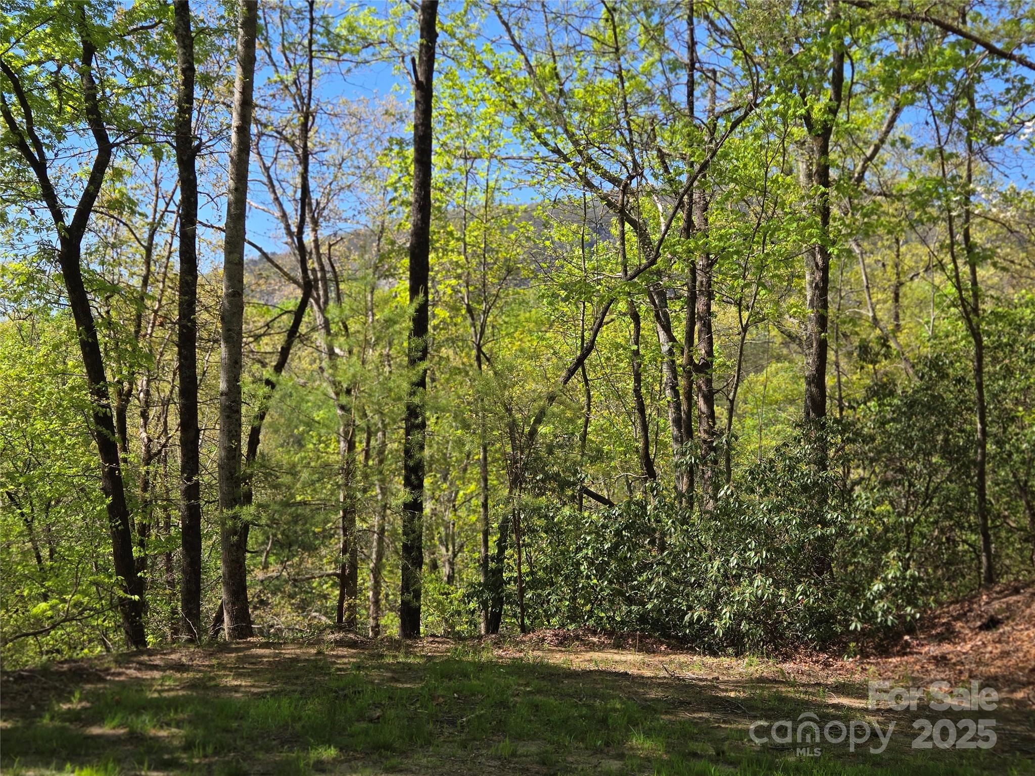 Lot 64 &  65 Walnut Lane, Lake Lure, NC 28746
