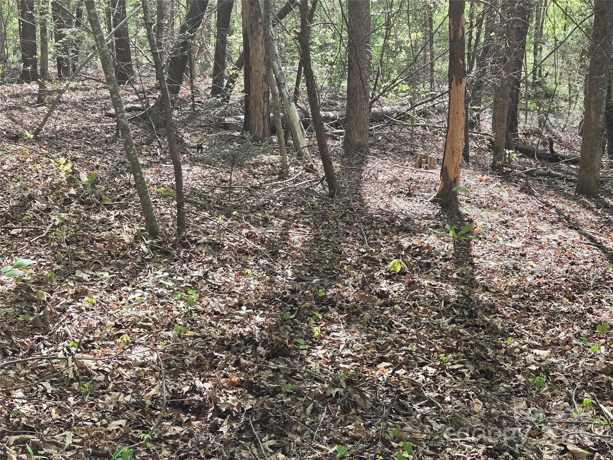 Lot 172 West Lake Drive, Lake Lure, NC 28746