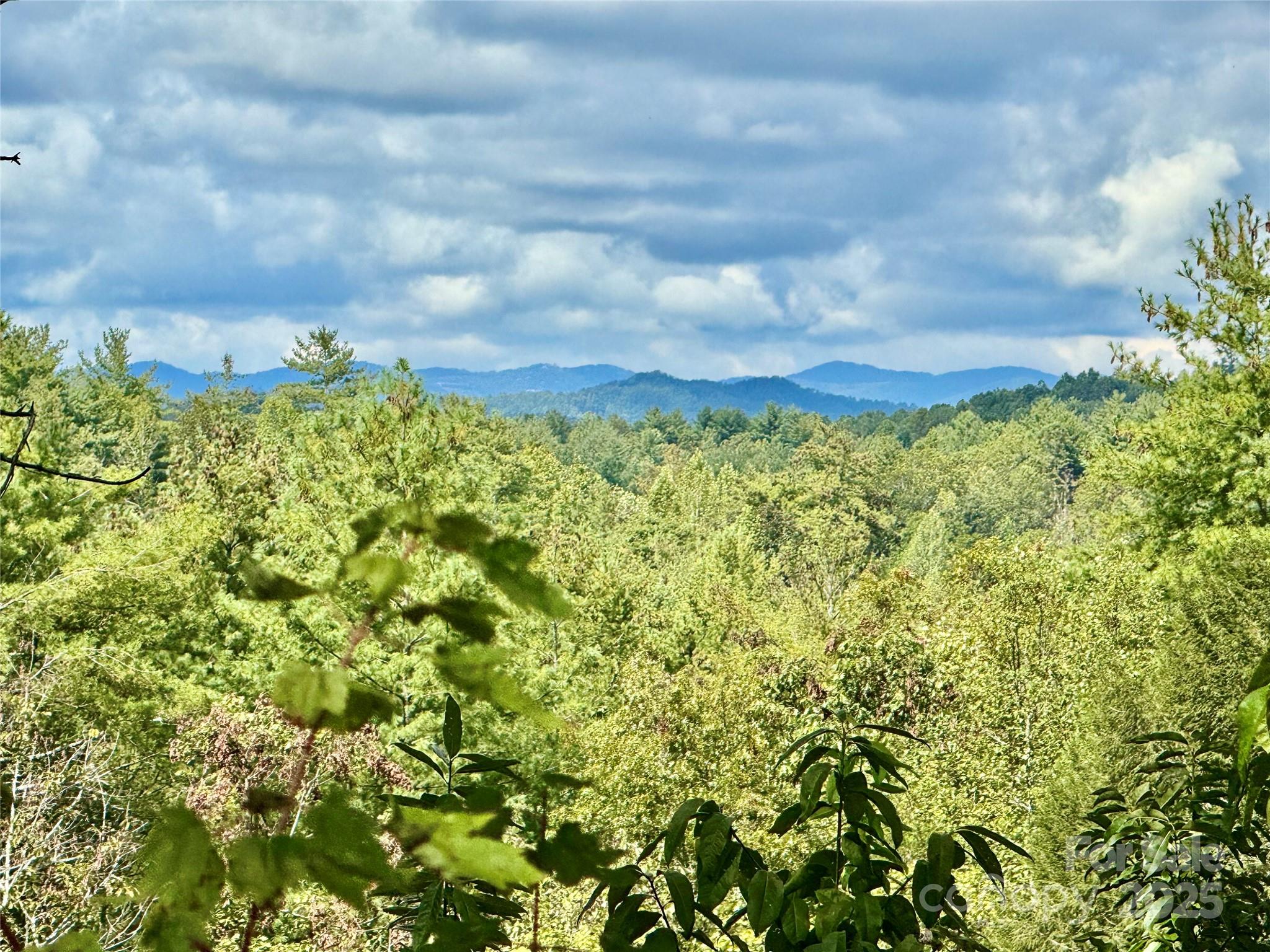 2088 Thoroughbred Way, Lenoir, NC 28645