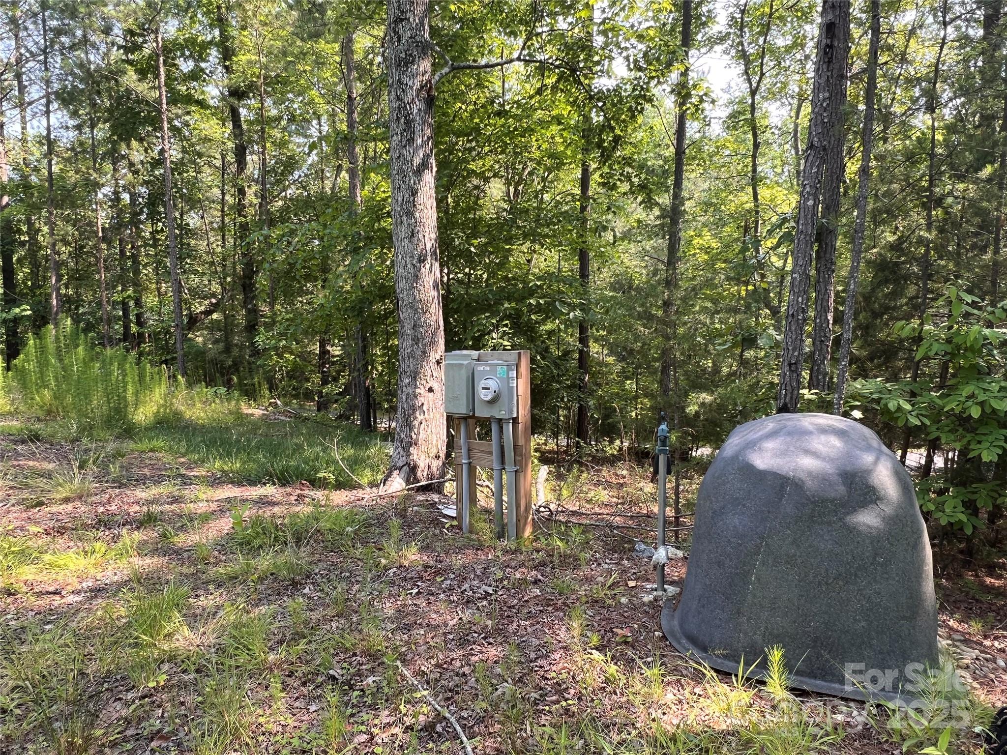 1015 Cross Ridge Drive, Rutherfordton, NC 28139