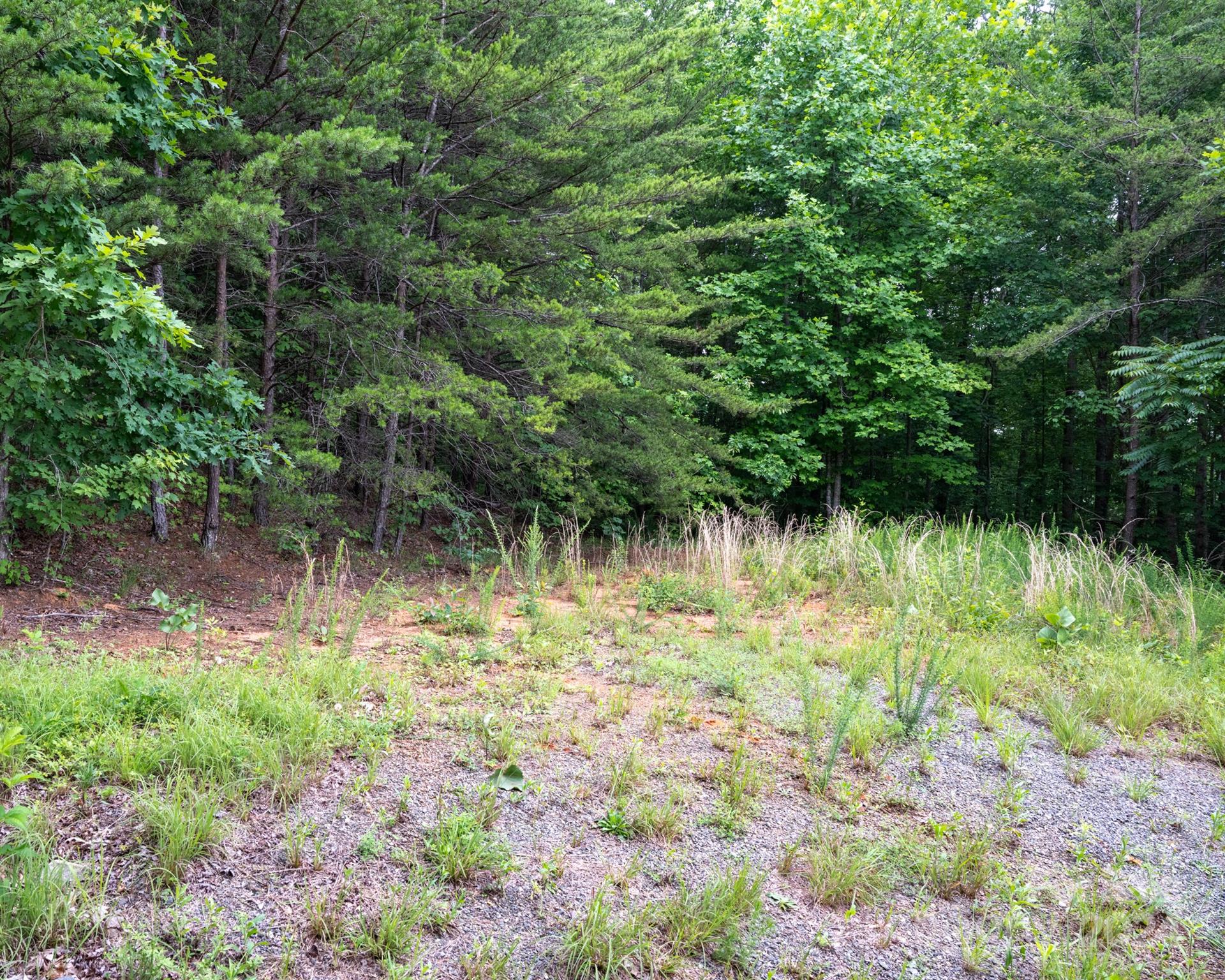 TBD Chicory Drive, Marion, NC 28752