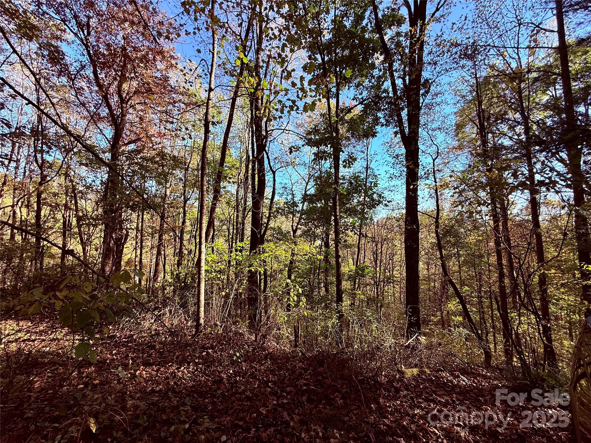 TBD Happy Ridge Lane, Sylva, NC 28779