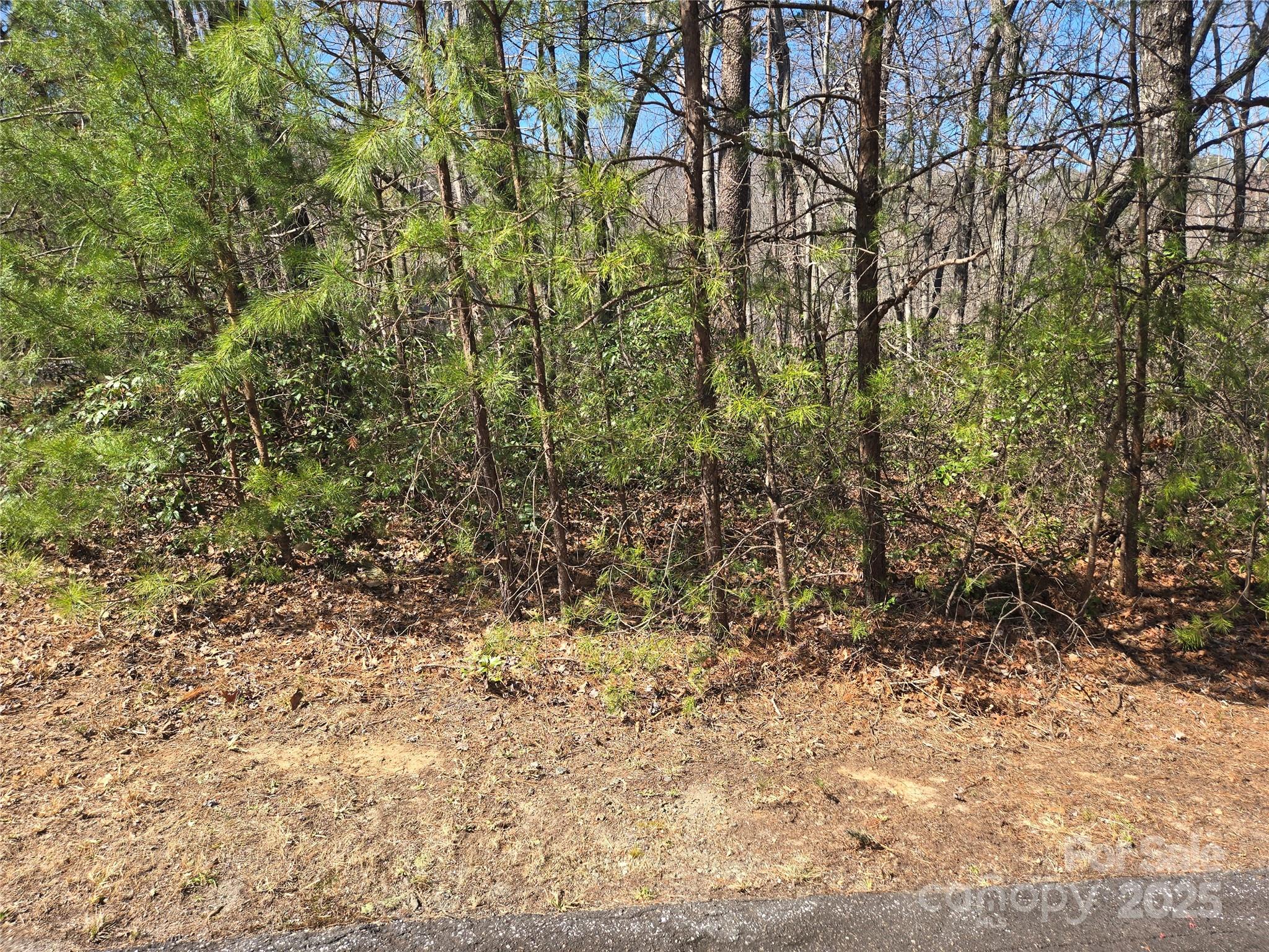 Lot 39 Flynn Court, Lake Lure, NC 28746