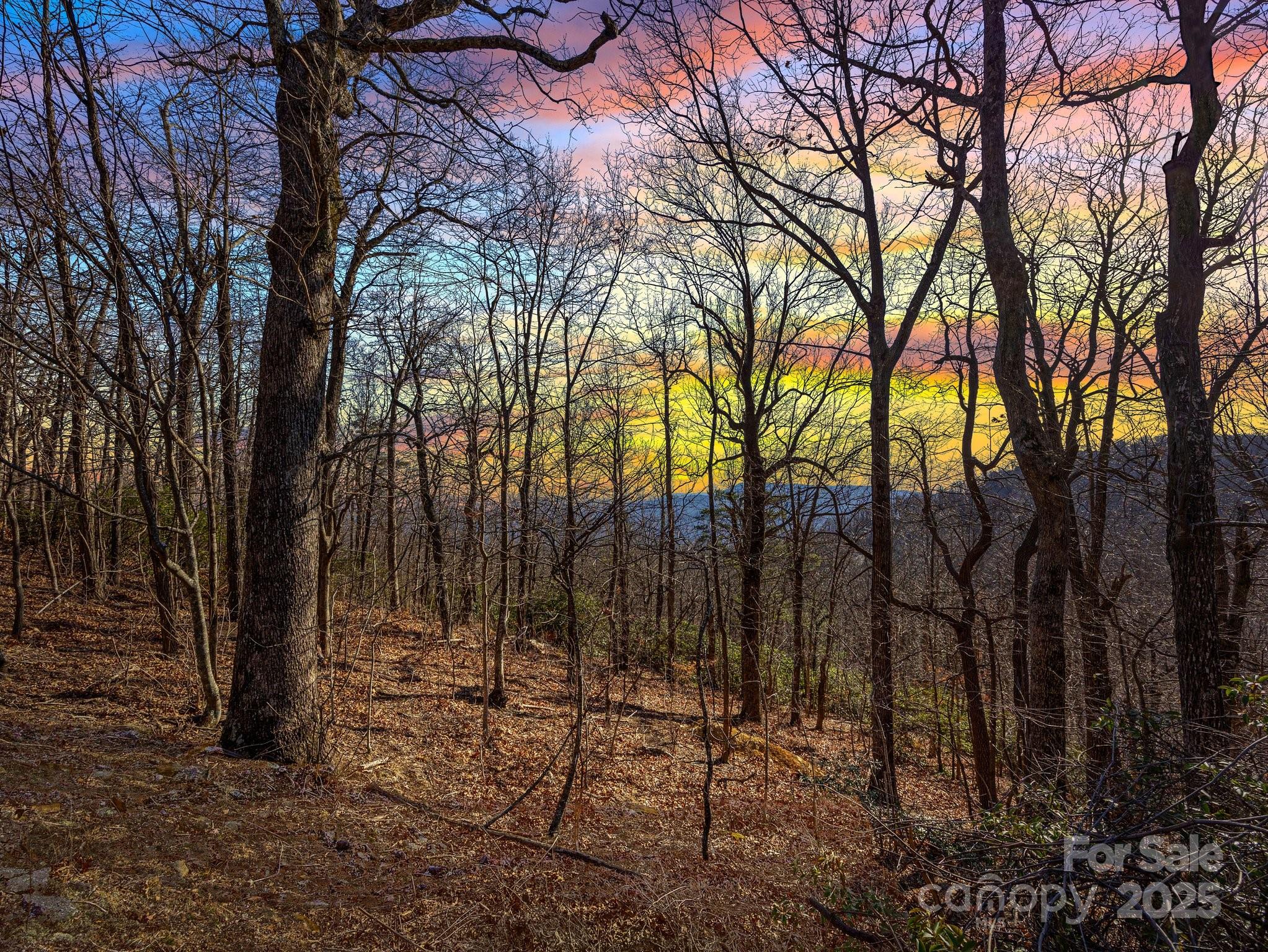 00 Morning Ride Drive, Columbus, NC 28722