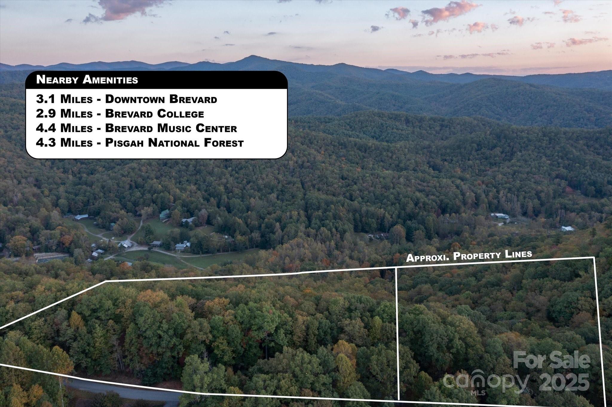 TBD Pine Mountain Trail, Brevard, NC 28712