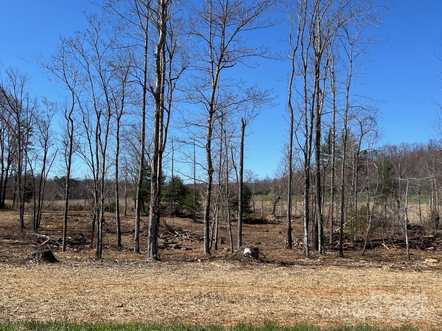 00 Absher Road, Traphill, NC 28685