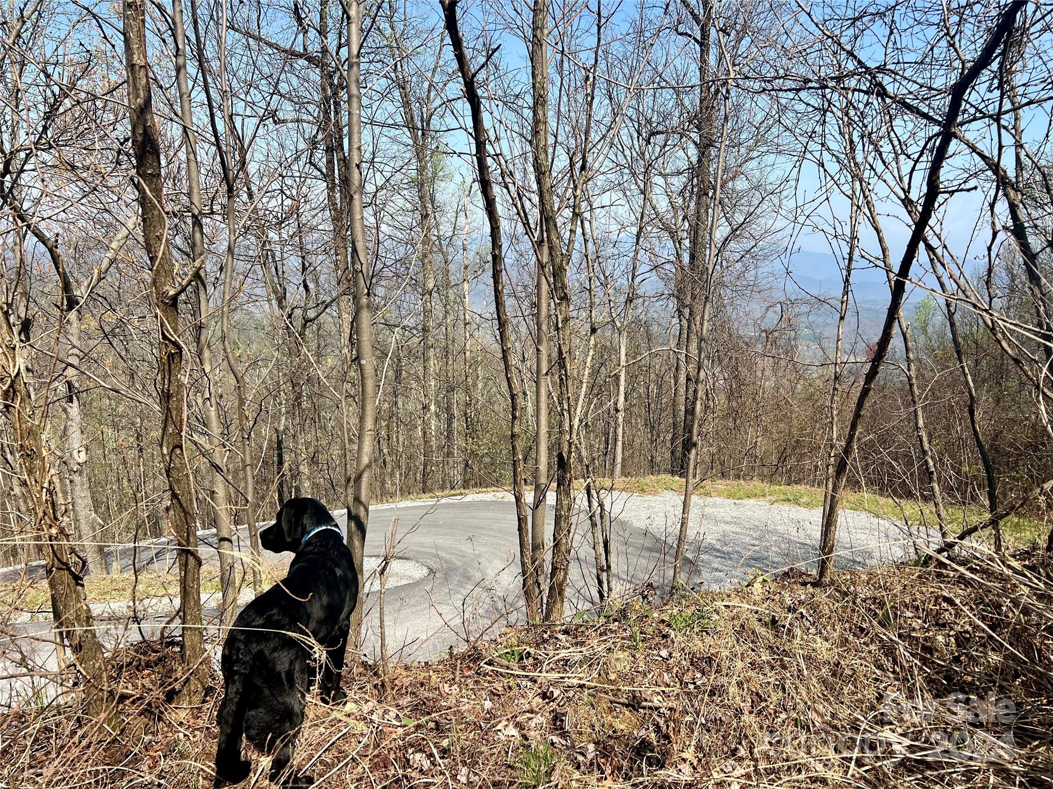 858 Mitchell View Drive, Old Fort, NC 28762