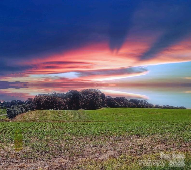 1490 Pork Road, Peachland, NC 28133