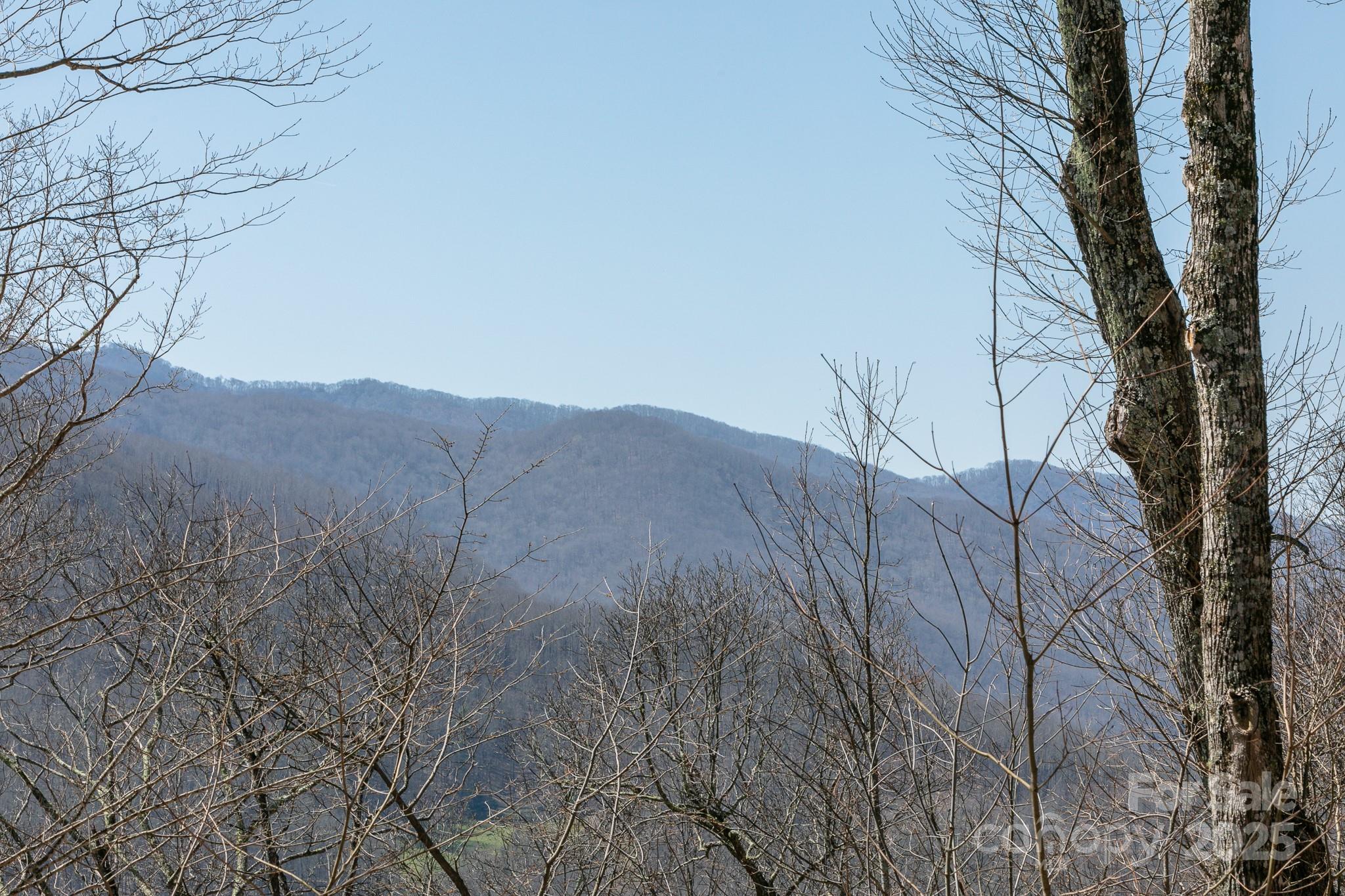 LOT 13 Austin Mountain Drive, Burnsville, NC 21714