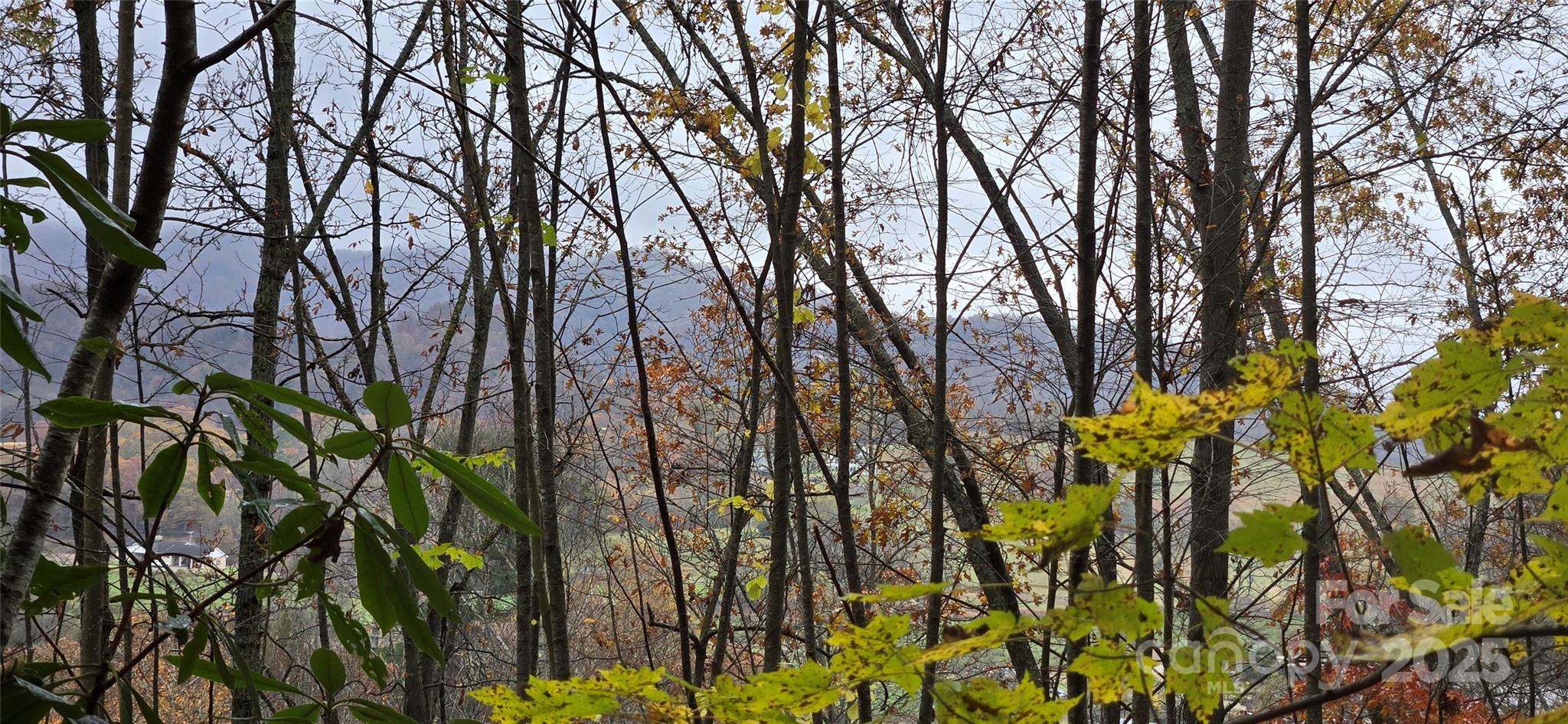 62 Turkey Hollow Court, Waynesville, NC 28785