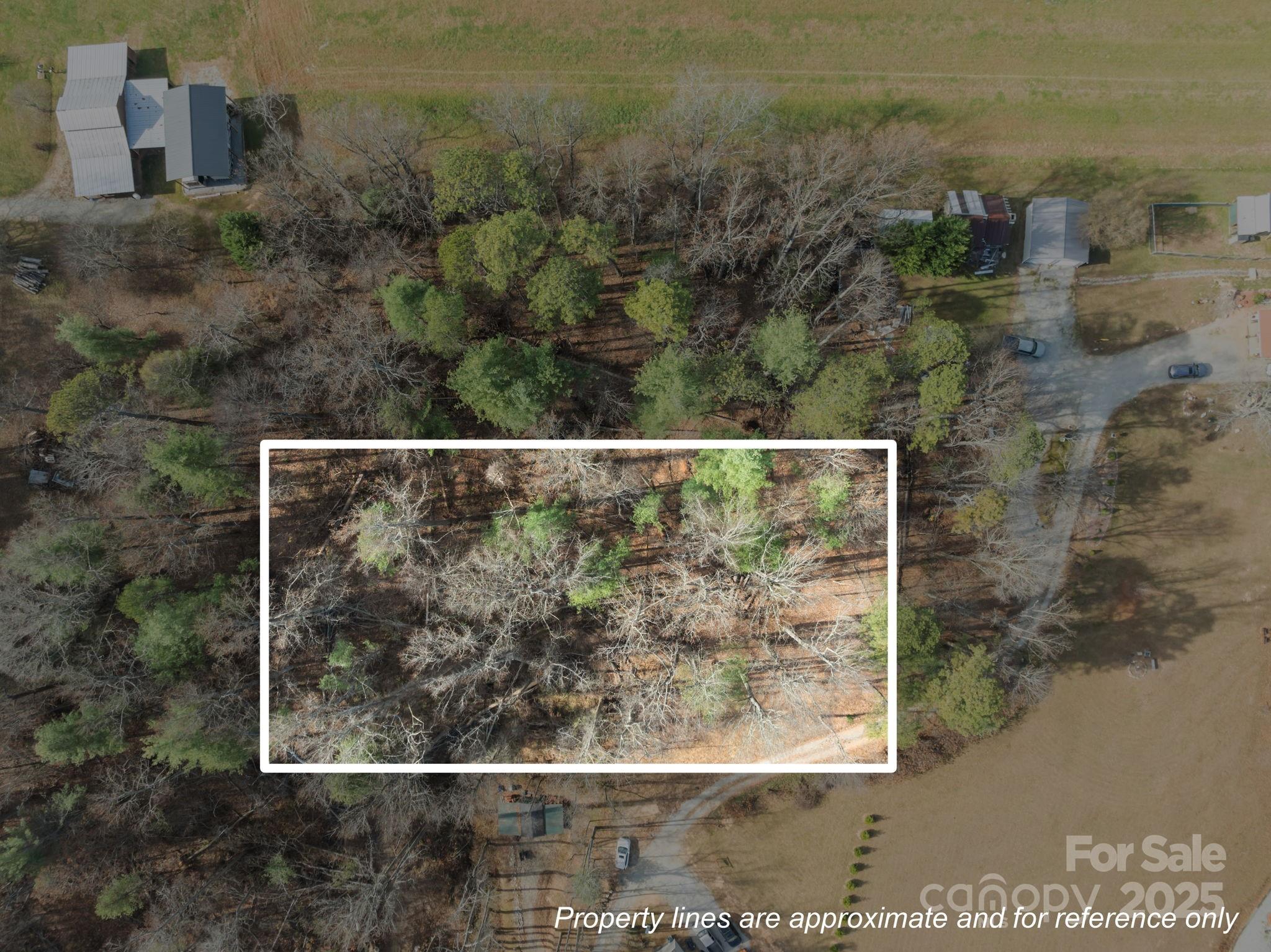 99999 Twin Lakes Drive, Flat Rock, NC 28792