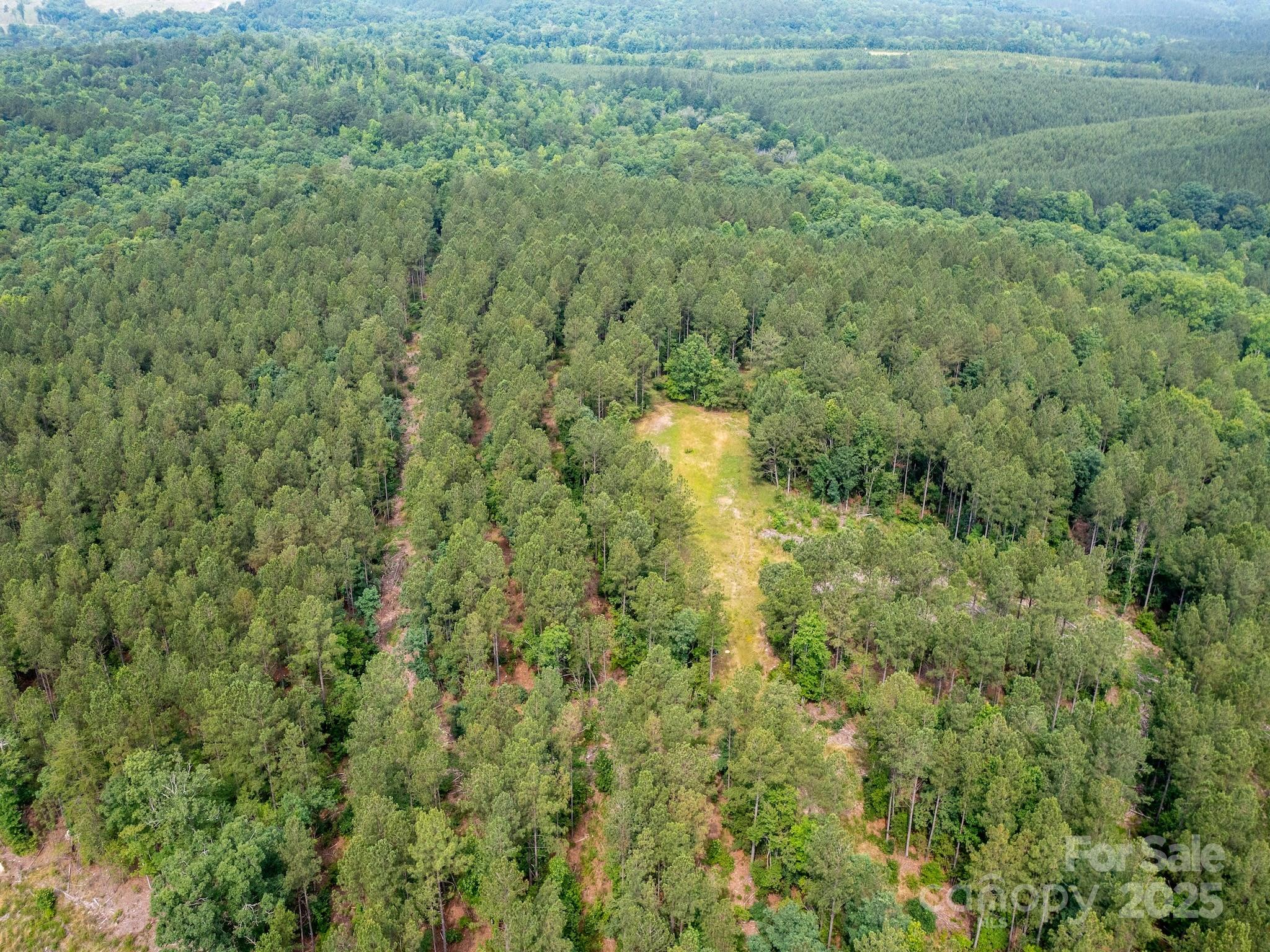 0 Chip Road, Mount Gilead, NC 27306