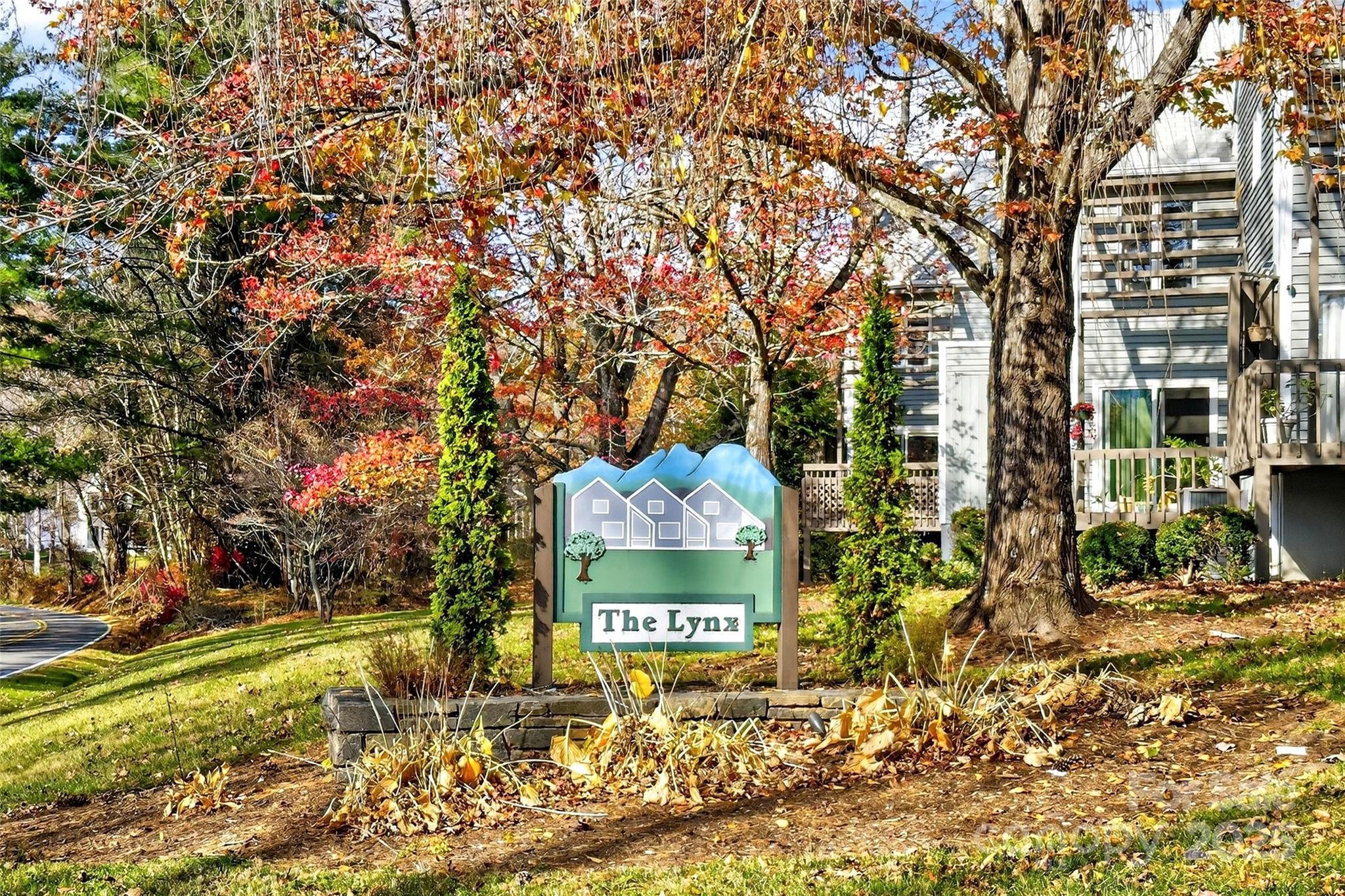 3B Lynx Drive, Black Mountain, NC 28711